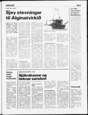 Síða 5