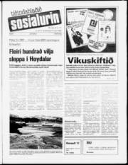 Síða 1