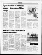 Síða 5