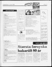 Síða 13