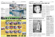 Síða 3
