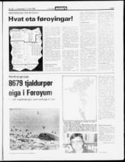 Síða 3