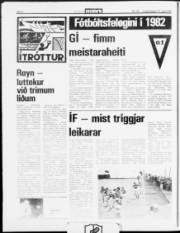 Síða 8