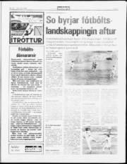 Síða 7