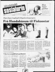 Síða 1