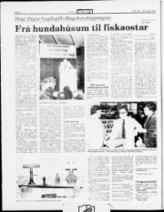 Síða 4