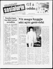 Síða 1