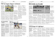 Síða 14