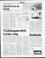 Síða 8