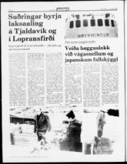 Síða 2