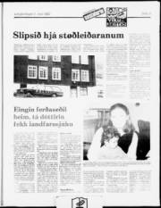 Síða 9