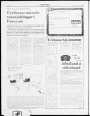 Síða 4