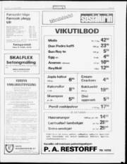 Síða 13