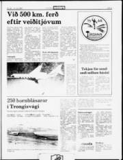 Síða 5