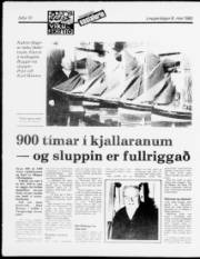 Síða 10