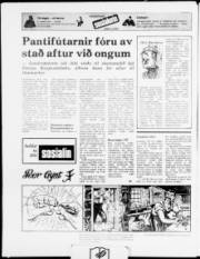 Síða 20