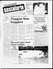 Síða 1