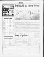 Síða 7