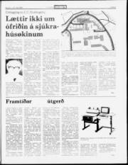 Síða 5