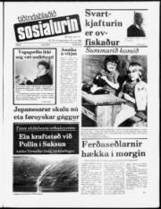Síða 1