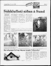Síða 9