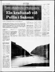 Síða 15