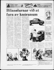 Síða 20