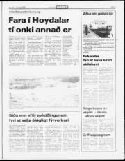Síða 5