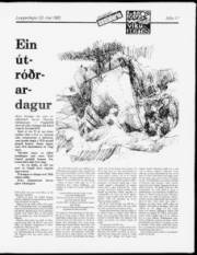 Síða 11
