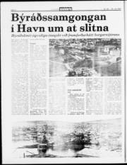 Síða 4