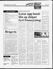 Síða 13