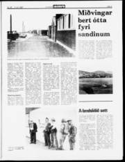 Síða 5