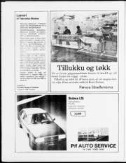 Síða 20