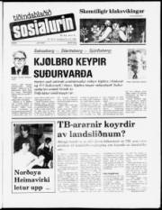 Síða 1