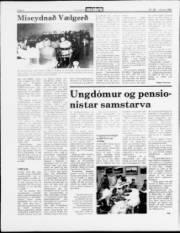 Síða 4