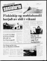 Síða 1