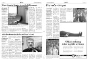 Síða 3