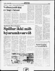 Síða 3