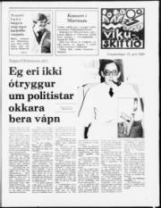 Síða 7
