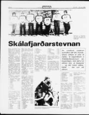 Síða 8