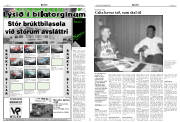 Síða 8