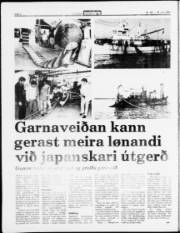 Síða 4