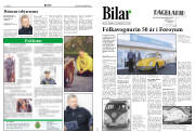 Síða 10