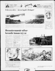 Síða 20