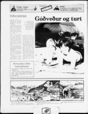 Síða 12