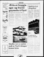 Síða 3