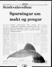 Síða 7