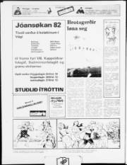 Síða 12