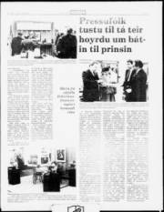 Síða 5