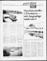 Síða 11
